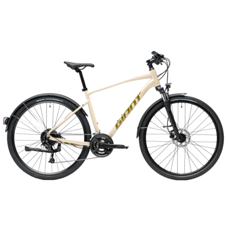 Giant Roam EX